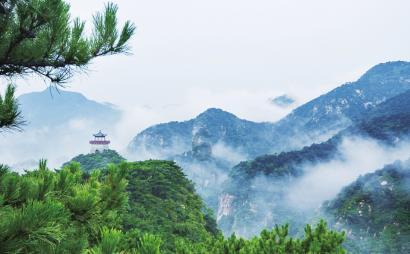 独山:“校农结合”拓宽农户增收渠道
